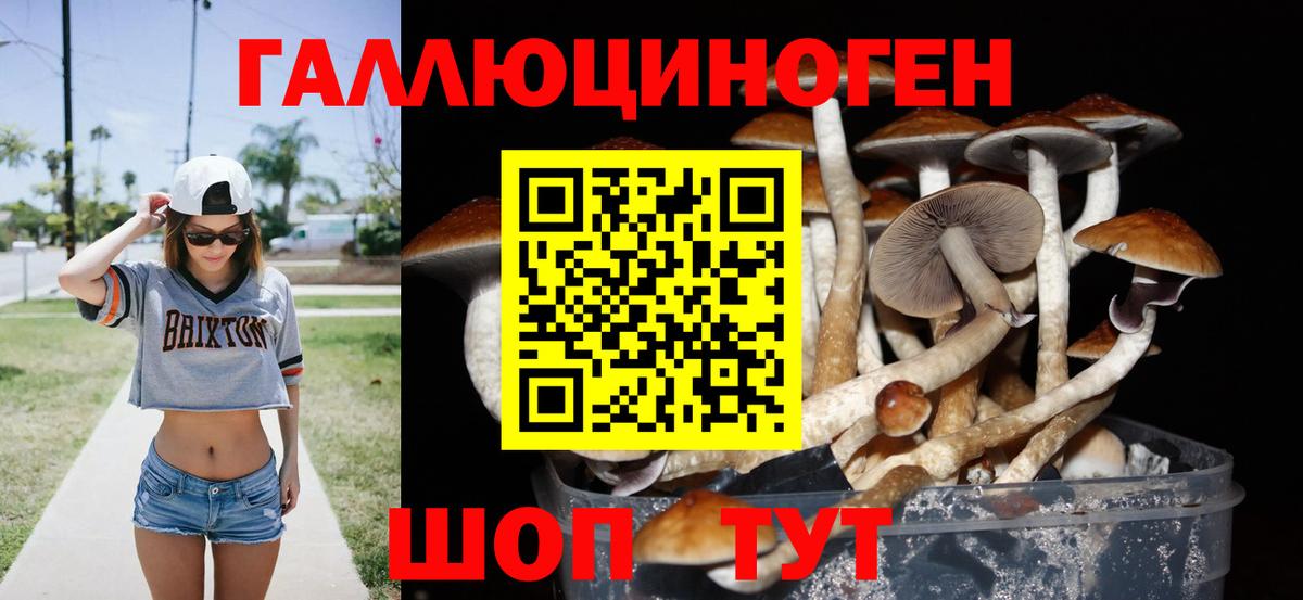 Псилоцибиновые грибы Psilocybine cubensis  Вход с VPN  Гусев 