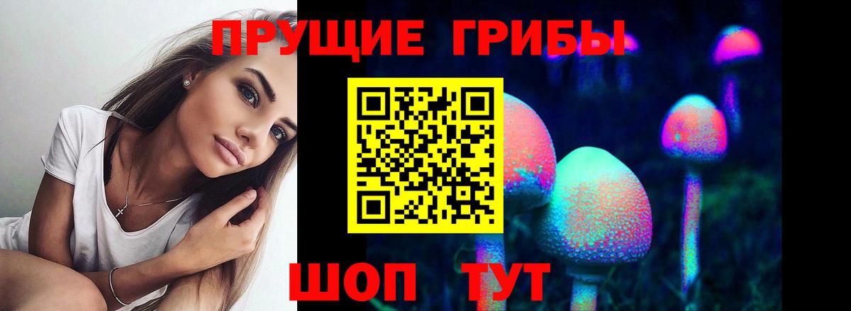 Галлюциногенные грибы Cubensis Гусев